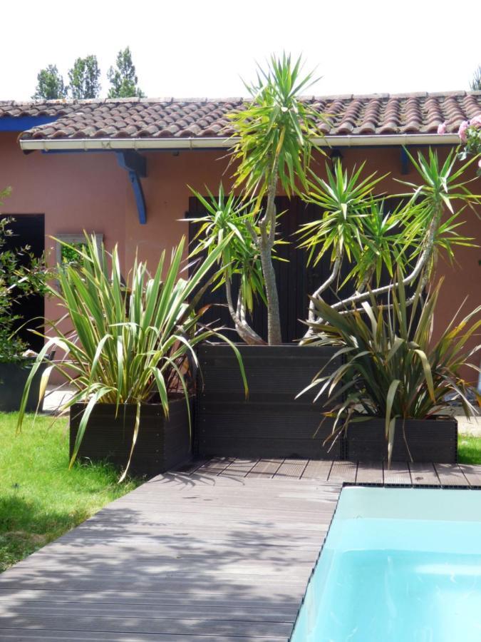 Arche De Lanoe Jacuzzi Bed and Breakfast Labastide-Saint-Pierre Exteriör bild